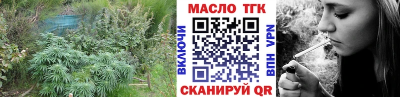 купить наркотики цена  Руза  ТГК Wax 